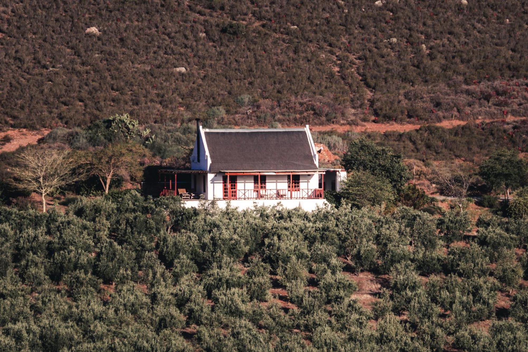 Willa Orange Grove Robertson Zewnętrze zdjęcie